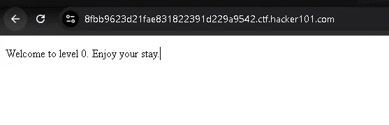 Hacker101 CTF | A Little Something to Get You Started