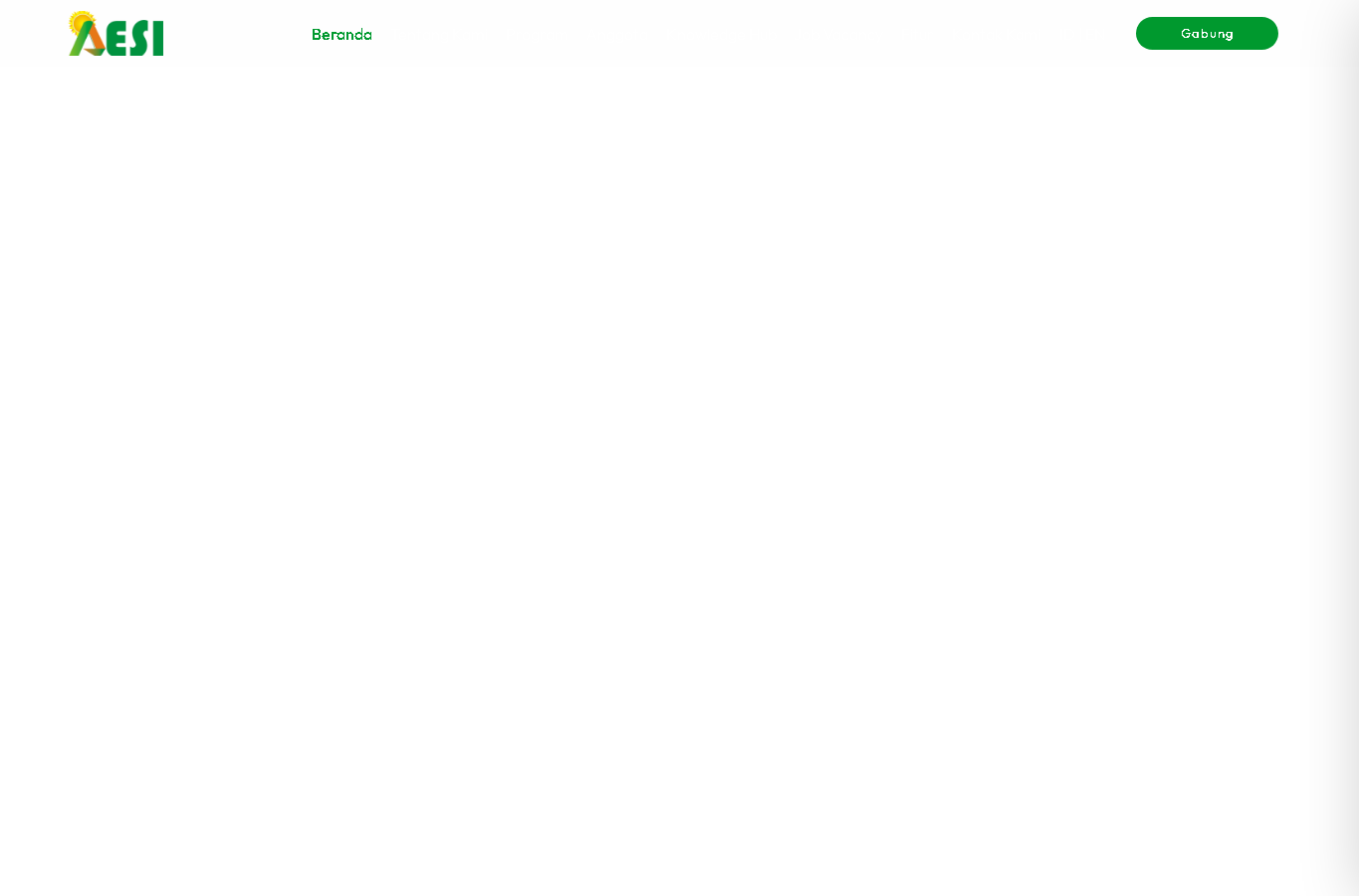 AESI screenshot